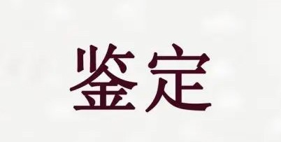 档案鉴定服务